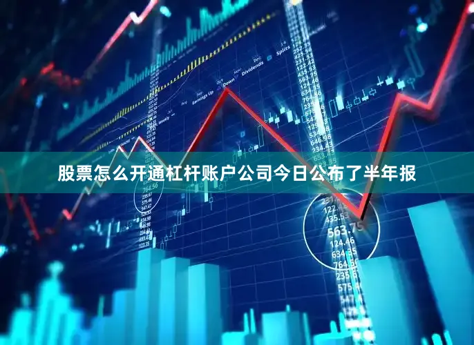 股票怎么开通杠杆账户公司今日公布了半年报