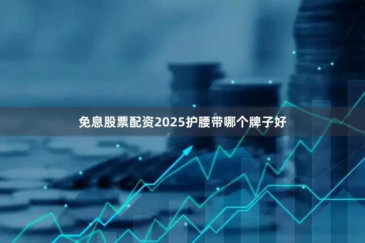 免息股票配资2025护腰带哪个牌子好