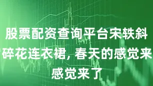 股票配资查询平台宋轶斜肩碎花连衣裙, 春天的感觉来了