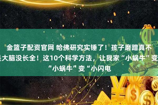 金篮子配资官网 哈佛研究实锤了！孩子磨蹭真不是懒，是大脑没长全！这10个科学方法，让我家“小蜗牛”变“小闪电