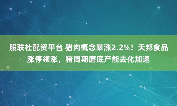 股联社配资平台 猪肉概念暴涨2.2%！天邦食品涨停领涨，猪周期磨底产能去化加速