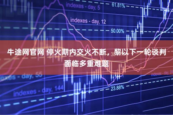 牛途网官网 停火期内交火不断，黎以下一轮谈判面临多重难题